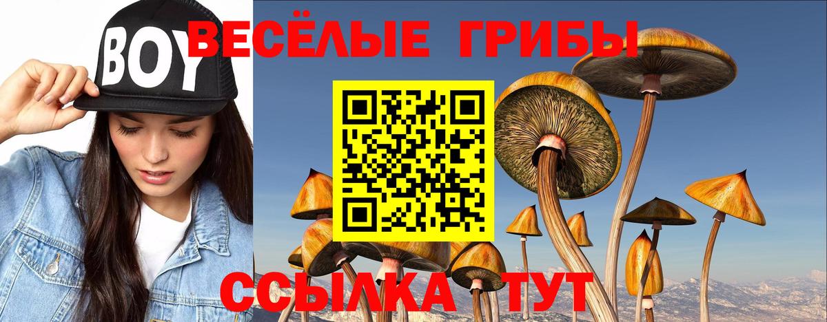 Калач-на-Дону  Галлюциногенные грибы прущие грибы  Вход с VPN 