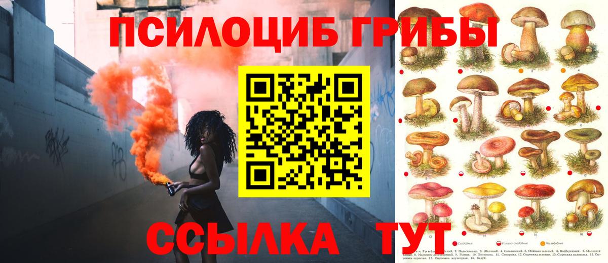 Псилоцибиновые грибы мухоморы Калач-на-Дону